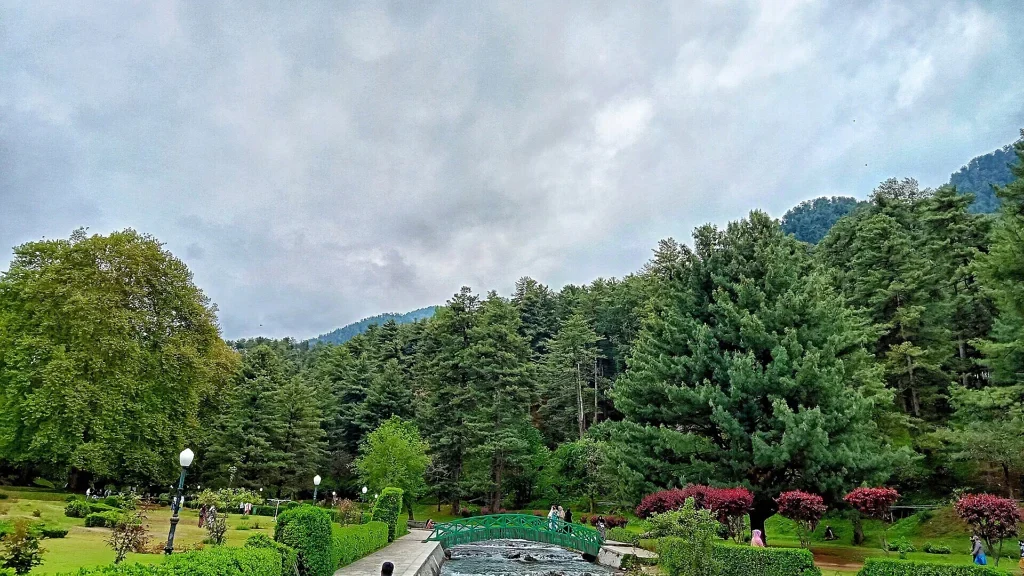 Kokernag