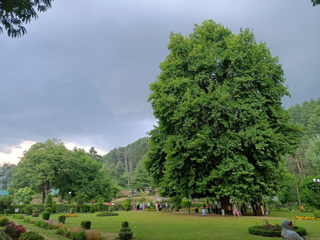 Kokernag